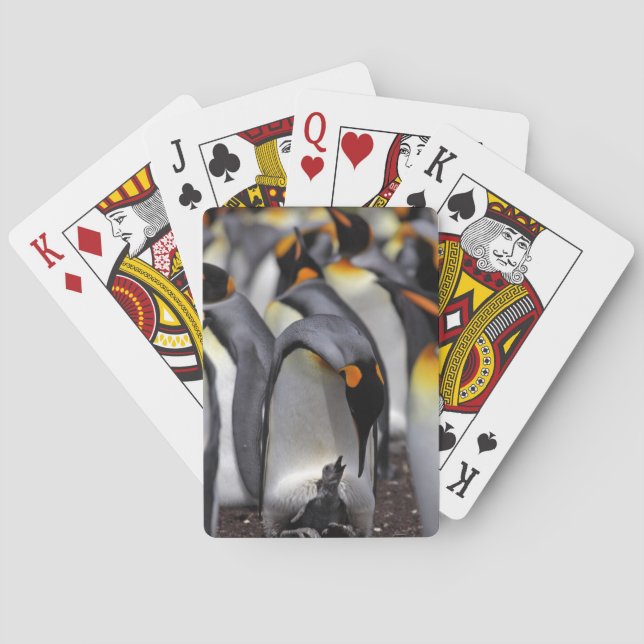 König Pinguin mit Küken Spielkarten (Rückseite)