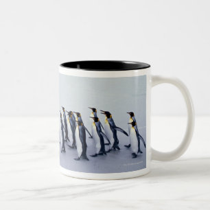 König-Pinguine (Aptenodytes patagonicus) Zweifarbige Tasse