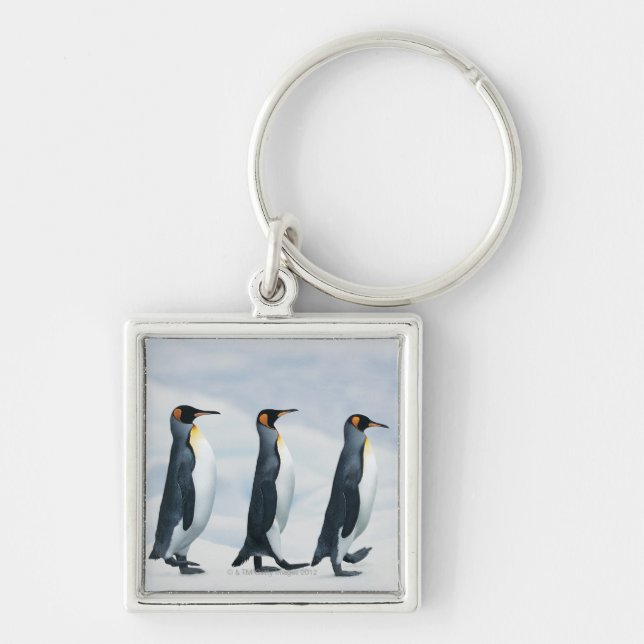 König Pinguine Schlüsselanhänger (Vorne)