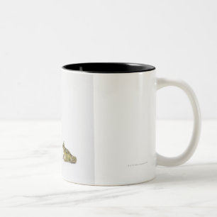 König- und Königinfrosch, der einander betrachte Zweifarbige Tasse
