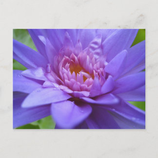 König von Siam Postkarte