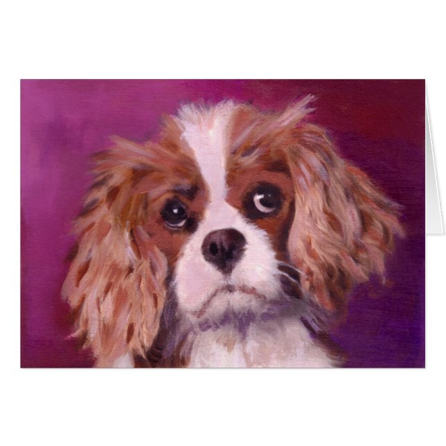 Königcharles Spaniel (Vorderseite (Horizontal))