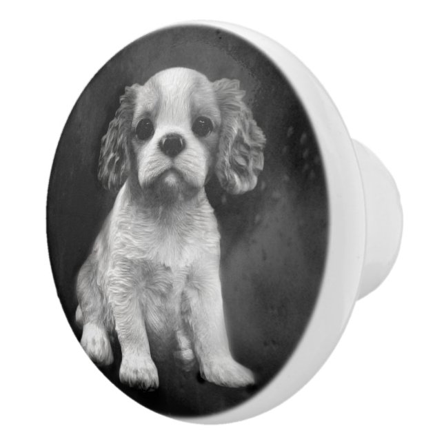 Königcharles Spaniel-Kavalierwelpe Keramikknauf (Rechts)