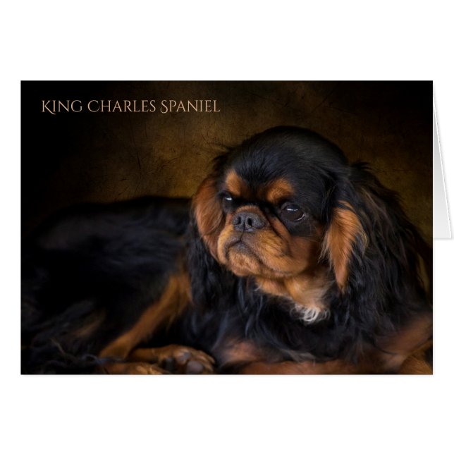 Königcharles Spaniel-Raum-Gruß-Karte (Vorderseite (Horizontal))