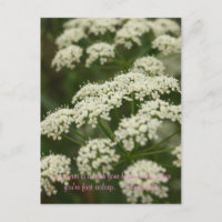 Königin Anne-Elfe - Briefmarke