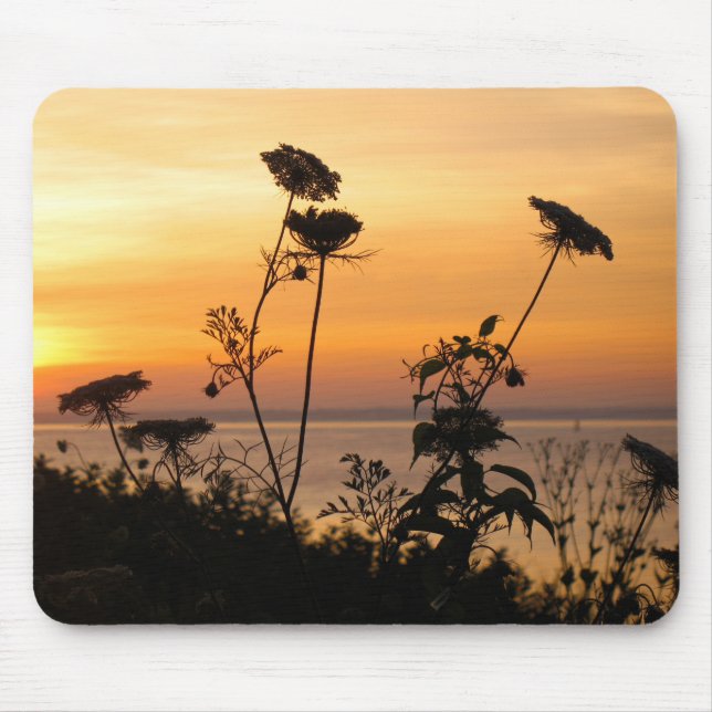 Königin Anne's Lace at Sunset - Fishers Island, NY Mousepad (Vorne)