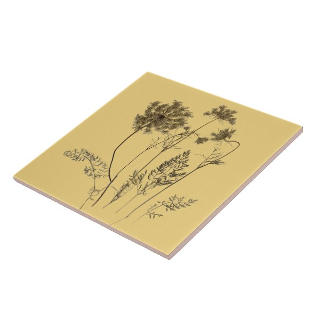 Königin Anne's Lace auf einer Keramik Tile (Gelb A Fliese (Seite)