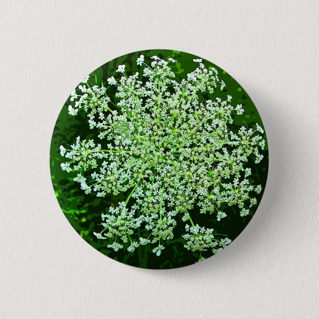 Königin Anne's Lace Button (Vorderseite)
