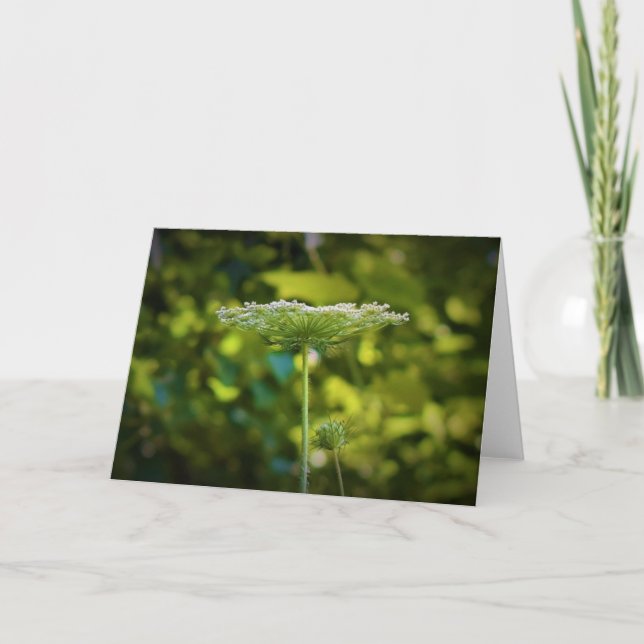 Königin Anne's Lace, Karte (Vorderseite)