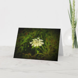 Königin Anne's Lace, Karte