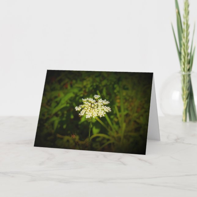 Königin Anne's Lace, Karte (Vorderseite)