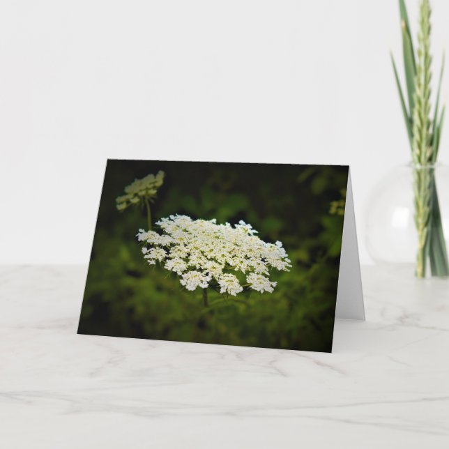 Königin Anne's Lace, Karte (Vorderseite)