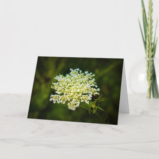 Königin Anne's Lace, Karte (Vorderseite)