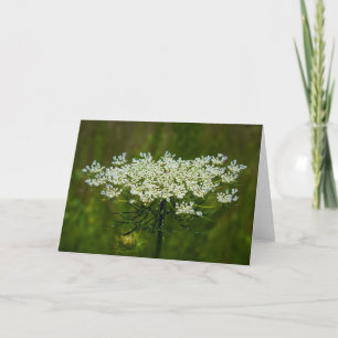 Königin Anne's Lace, Karte