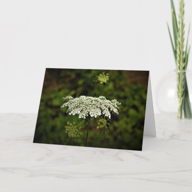 Königin Anne's Lace, Karte (Vorderseite)