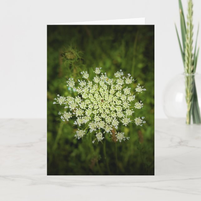 Königin Anne's Lace, Karte (Vorderseite)