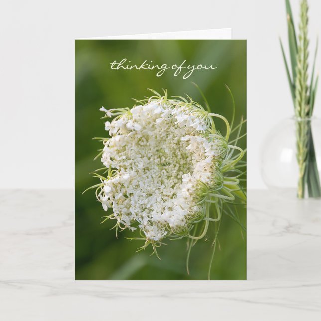 Königin Anne's Lace-Makro Karte (Vorderseite)