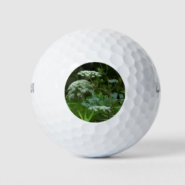 Königin Anne's Lace-Wildblume Golfball (Vorderseite)
