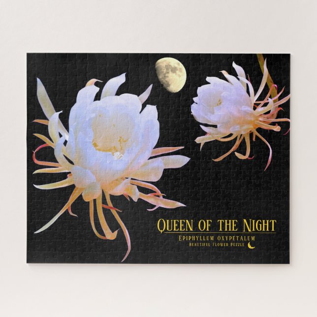 Königin der Nacht (Horizontal)