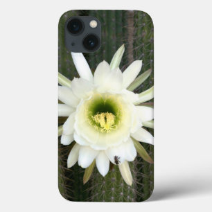 Königin der Nachtkaktus-Blume, Region Karoo Case-Mate iPhone Hülle