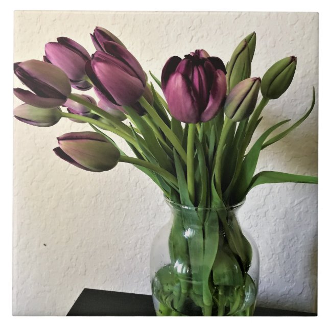 Königin der Nachttoulpen Fliese (Vorderseite)