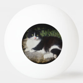 Königin des Garten-Katzen-Klingeln Pong Balls Tischtennisball