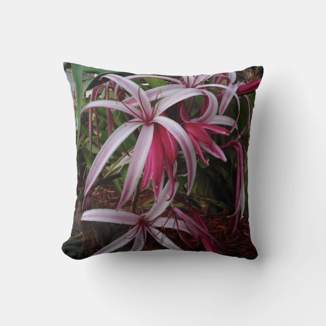 Königin Emmas lila Crinum Lilie Kissen (Vorderseite)