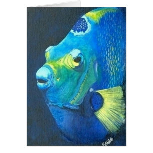 Königin-Engelsfische