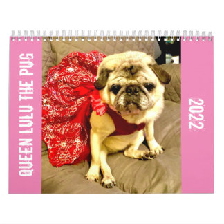 Königin Lulu der Mops 2022 Kalender