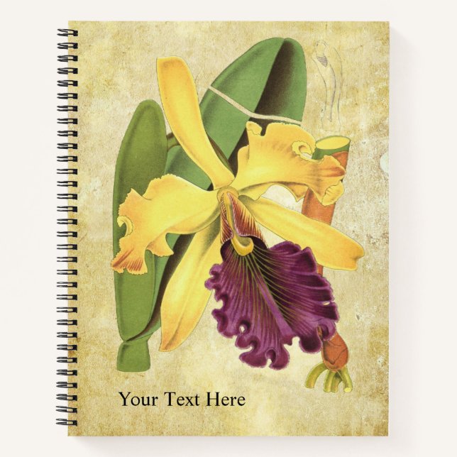 Königin-Orchis-Notizbuch Notizbuch (Vorderseite)