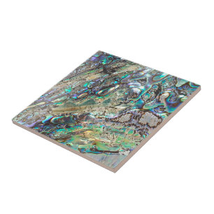 Königin paua Muschel Fliese