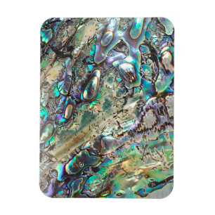 Königin paua Muschel Magnet