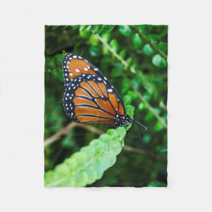 Königin-Schmetterling auf Farn-Fleece-Decke Fleecedecke