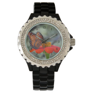 Königin-Schmetterling auf mexikanischer Armbanduhr