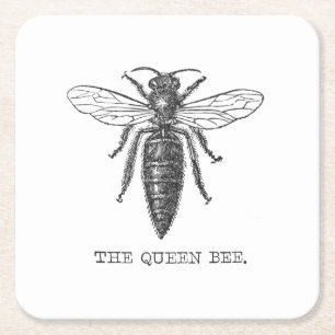 Königinnen-Bienen-Käfer-Insekt-Antik-Illustration Rechteckiger Pappuntersetzer