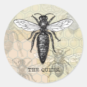 Königinnen-Bienen-Käfer-Insekt-Antik-Illustration Runder Aufkleber