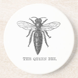Königinnen-Bienen-Käfer-Insekt-Antik-Illustration Sandstein Untersetzer