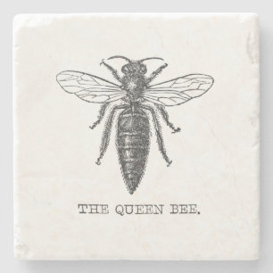 Königinnen-Bienen-Käfer-Insekt-Antik-Illustration Steinuntersetzer