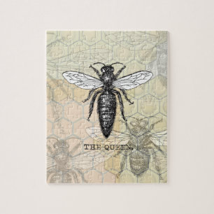 Königinnen-Bienen-Käfer-Insekt-antike-Illustration