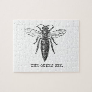 Königinnen-Bienen-Käfer-Insekt-antike-Illustration