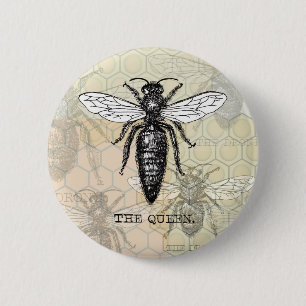 Königinnen-Bienen-Käfer-Insekt-antike-Illustration Button