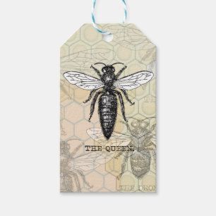 Königinnen-Bienen-Käfer-Insekt-antike-Illustration Geschenkanhänger