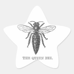 Königinnen-Bienen-Käfer-Insekt-antike-Illustration Stern-Aufkleber