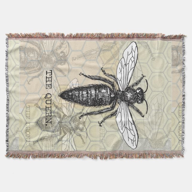 Königinnenbiene Insekt Antiquität Illustration Decke (Vorderseite)