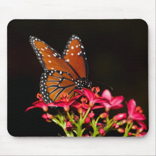 Königinnenfalter auf rosa Blüten Mousepad