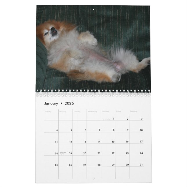 KÖNIGINsweetie-SPITZ Kalender (Jan 2026)