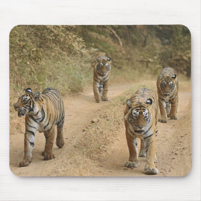 Königliche Bengal-Tiger Mousepad (Vorne)