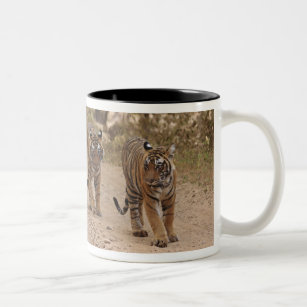 Königliche bengalische Tiger auf der Bahn, Zweifarbige Tasse