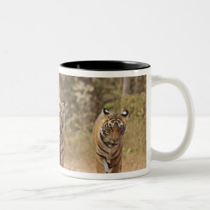 Königliche bengalische Tiger auf der Bahn, Zweifarbige Tasse