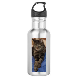 Königliche Dave-Wasser-Flasche (532 ml), Edelstah Trinkflasche